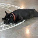 헤라호텔 이미지