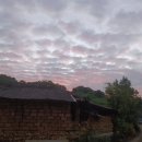 소리야네집 이미지