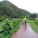 강변유원지길 이미지