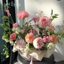 시연화다 네이버블로그