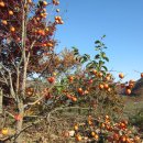 전원식당 이미지