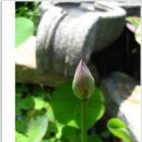 (주)마당 이미지