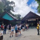 반딧불안경 이미지