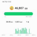 월령소라스테이 | 국토대장정 코스 : 제주도 2일차 (협재~모슬포)