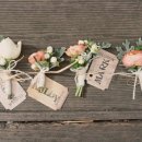 더스티(DUSTY) 이미지