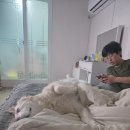 역곡 이미지