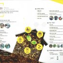 가람솔 부산