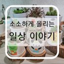만진루 | 소소하게 올리는 일상이야기(이것저것 뒤죽박죽):D