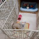 퍼펙트호텔 이미지