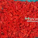 해솔농장 이미지