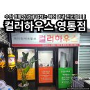 머리염색체험방 - 경산시 | 머리염색체험방