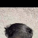 롯데슈퍼 남원점 이미지