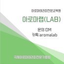 대운아로마 이미지