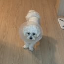 경자분식 이미지