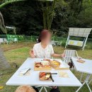 안다랜드 이미지