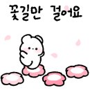 용인대 하늘태권도장 이미지