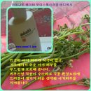 (주)여인닷컴 | 아이아토 사용후기