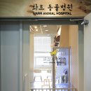 와르동물병원 이미지