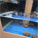 소사38소갈비살 | 옥길동회식 소갈비살 해물 냉면 모두 만족한 후기예요