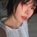와이헤어 네이버블로그