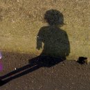 지상낙원 이미지