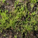 하늘지기 이미지