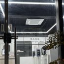 대성스파세차장 | [원주/관설동]시간 부담 없는 애견 셀프 목욕 + 셀프 미용실! 진짜 추천<피카펫>