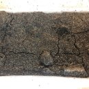 맑은하늘정형외과의원 이미지