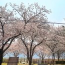 첨단체육공원(운동장) 이미지