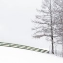 진경목장 이미지