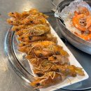 핫쨈코인노래연습장 이미지