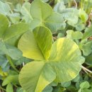 크로버유통 이미지