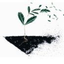 연제봄약국 이미지