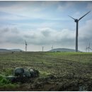 올레목장 이미지