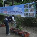 대일고등학교 이미지