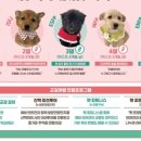 경주동물메디컬센터 이미지