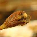 먹골농장 이미지