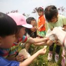 남원목장 이미지