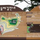 궁농오토캠핑장 이미지