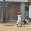 구.화정초 이미지