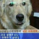 홍#