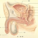준비뇨기과의원 이미지