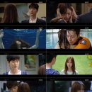 포레스트문 이미지