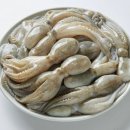 제철판다