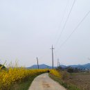 2024.4.6.(토) 장고항에서 실치회 먹고 오기 이미지