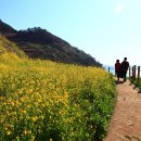 남해보물섬민박 이미지