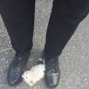 정봉농장 이미지