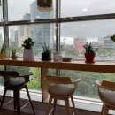 알파에스오일 이미지