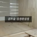 준스크린 골프 이미지