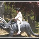 계룡산자연사박물관 이미지